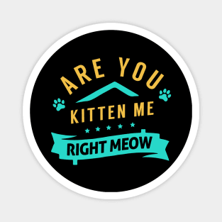 Are You Kitten Me Right Meow Magnet